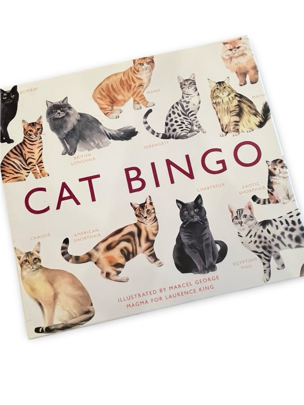 Cat Bingo Game